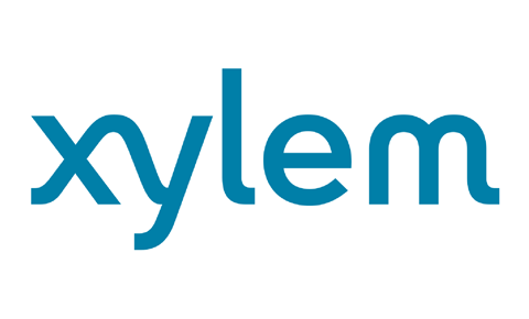 Xylem